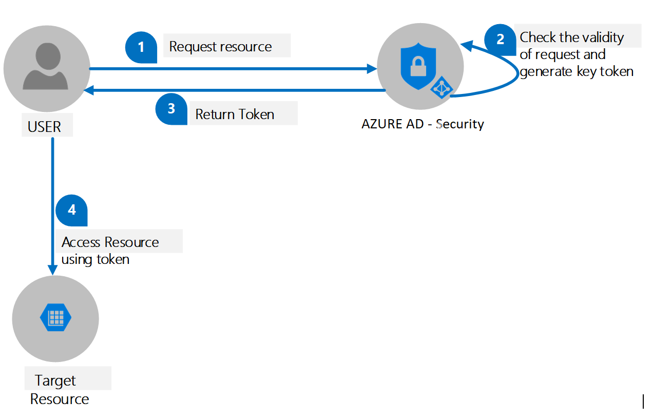 Asp net core авторизация. Веб-приложения asp.net. Secure your API Azure. Blitz Identity provider. Oauth2 OIDC.